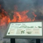 article image - 
